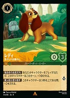 レディ 【ROJ/033/204R】